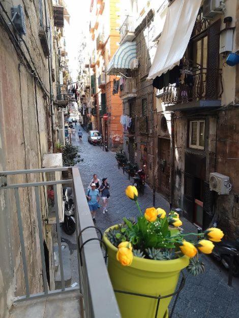 Apartamento La Conchiglia Napoli Exterior foto
